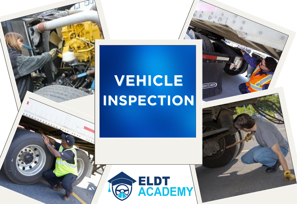Vehicle Inspections